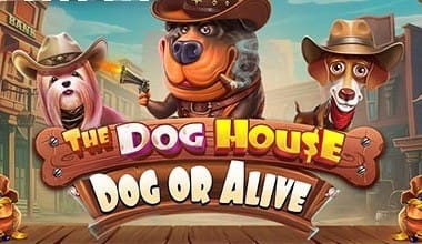The Dog House Dog or Alive